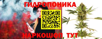 индика Малоярославец