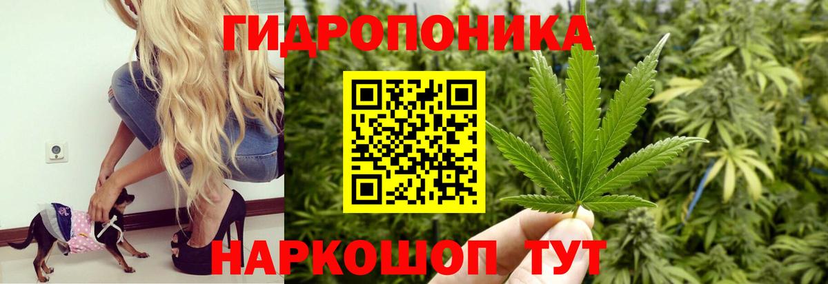 Бошки Шишки OG Kush  Вход с VPN  Шишки марихуана Bruce Banner  Верхний Уфалей  Бошки марихуана LSD WEED 